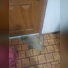 After this home began settling, cracks began to show not only in the walls, but in the floors.
