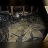 This crawl space was filthy, and in urgent need of cleaning, and professional waterproofing and structural repairs.