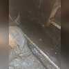 The excessive amount of mud laying in the crawl space caused multiple issues, poorly affecting the house