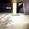 Weak and crumbling wood "support post"