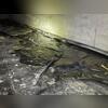 Standing water from excess intrusion had collected on top of the vapor barrier, leaving the crawl space damp and vulnerable to further issues.