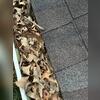 Debris is clogging the gutters, and without the correct protection, this will continue. Gutter Guards were recommended.