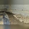 The existing vapor barrier was pulled back, exposing the underlying soil. This left the crawl space unprotected.