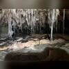 The large amount of moisture in this crawl space has made the insulation to start falling from absorbing moisture and rapid amount of mold growth.