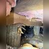 Structural issues in the crawl space can cause floors in the home to sink or sag. That was the case for this homeowner.