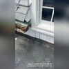 The siding beside the window trim is peeling and damaged due to years of wind and rainstorms.