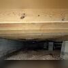 Sodium Bicarbonate is a granular powder that is non-toxic, food grade, with no vapors or offgassing. It is blown with air at high pressure at the infected lumber. The mold is blown off without damaging the lumber, and falls to the floor. The mold is killed by the blasting action and the soda...