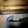 This customer was dealing with wood rot caused by moisture due to the humid coastal weather.