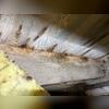 Moisture in crawlspace