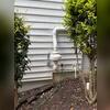 Exterior fan with electrical disconnect provided by our Licensed Electrician.