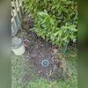 Backfilled and secure, the discharge line functions as a critical part of the home's long-term waterproofing solution.