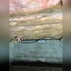 Humid conditions under the home had led to severe mold growth in the crawl space.