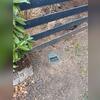The installed discharge line leads to a LawnScape Outlet, which blends into the yard and flushes water out and away from the home.
