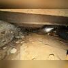 You can tell how nasty and humid this crawl space was before encapsulation.
