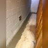 WaterGuard provides a long-term solution for managing basement water.