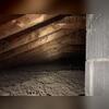 18' of our TruSoft Cellulose insulation used to insulate this attic in Binghamton, NY