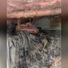 Fiberglass ages extremely quick and will let in more humidity and moisture than you think.