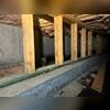This crawl space had no protection against moisture, causing mold and wood rot (look at the difference between the moldy, green wood on the concrete and the standing support planks!).