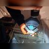 We checked out the bait stations in the crawl space and noticed that several of them had activity in them.