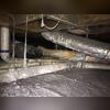 Mold in crawl space
