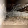Before the work began, Suzanne's crawl space had high humidity levels reaching 66%. The exposed ground allowed moisture to enter the space, creating damp conditions beneath the home and increasing the risk of microbial growth, musty odors, and other moisture-related problems.