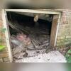 To begin this project, we removed all the debris from the crawl space.