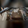Standing water inside of crawl spaces is an urgent issue, requiring immediate professional interference to protect the stability of the home, and the health of the family.