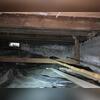 The basement was the perfect place for moisture and water to live and it was affecting the safety of the home.