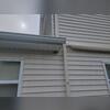 We spotted the wasp nest on the side of the home. Upon closer inspection, we identified them as paper wasps.