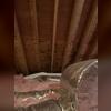 Whenever accessible, our inspectors evaluate the attic as part of the roof inspection to get a closer look at what may be happening beneath the shingles. In Peter's attic, Geoffrey found visible water staining and organic growth on sections of the plywood decking, indicating previous moisture...