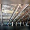 mold present in the attic