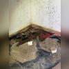If your crawlspace isn't sealed off from the outside, there is a long list of things that can end up in the space. Debris from the outdoors is very commonly found inside of a crawlspace, which can speed the process of mold growth.