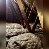 Previously, there was a leak in the attic that lead to a mold issue. Although the leak was repaired, mold had grown throughout the insulation.