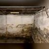 The homeowner was dealing with several concerns in their unfinished basement, including water coming in, efflorescence on the foundation walls, and cracking throughout the wall surfaces.