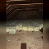 The insulation was saturated with mice urine and their feces.