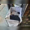...and there was a laundry basket filled with dirty aprons and rags that were there for over 4 days!