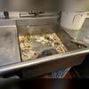 There were several sanitations issues throughout the kitchen that contributed to the massive fruit fly infestation. Several of the sinks and floor drains were full of food debris, there was rotten and old fruit left out,  and several of the trash cans were full of garbage from the previous night.