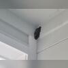 Located in the top left corner of the doorway was a mud dauber nest.