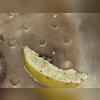 Next, we applied a bio-foam solution that removes all of the organic build-up, odors, and scum in the drains. We then treated the severe problem areas with a fly bait to exterminate the adult fruit flies and then set up several pheromone fruit fly traps.