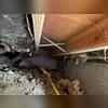 Before encapsulation a crawlspace is full of debris, whether that be dirt and rocks from the home's construction or pieces of insulation that have fallen out of place. Our crews prep the space by cleaning out the major debris prior to installation.