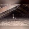 16" of our TruSoft Cellulose insulation used to insulate this attic space