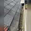 We found years of built-up debris that is no longer able to drain, causing water pooling issues.