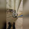 While this homeowner already had a sump pump in their basement, they wanted to replace it for a newer version that would help continuously pump water away from the home. Our triple pump system assures that will be the case.