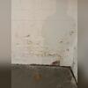 Water was seeping into this basement and it was having a negative impact on the space. The homeowner was also not happy about having a wet basement.