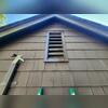 The bats were able to infest the attic by squeezing through the gable vent.