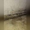 In addition to the new waterproofing our crew installed we also replaced the original sub-floor drainage system so that the track would go along almost the entire basement. This addition was covered under the homeowner's warranty. We wanted to assure they have the best experience and final product.