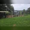 All around the goat closure, was a massive amount of rat burrows and their droppings.