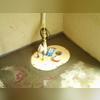 Sump Pump