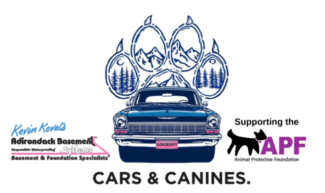 Adirondack Basement Systems Raises Funds to Recover the Animal Protective Foundation\'s Surgical Suite From Water Damage! - Image 1