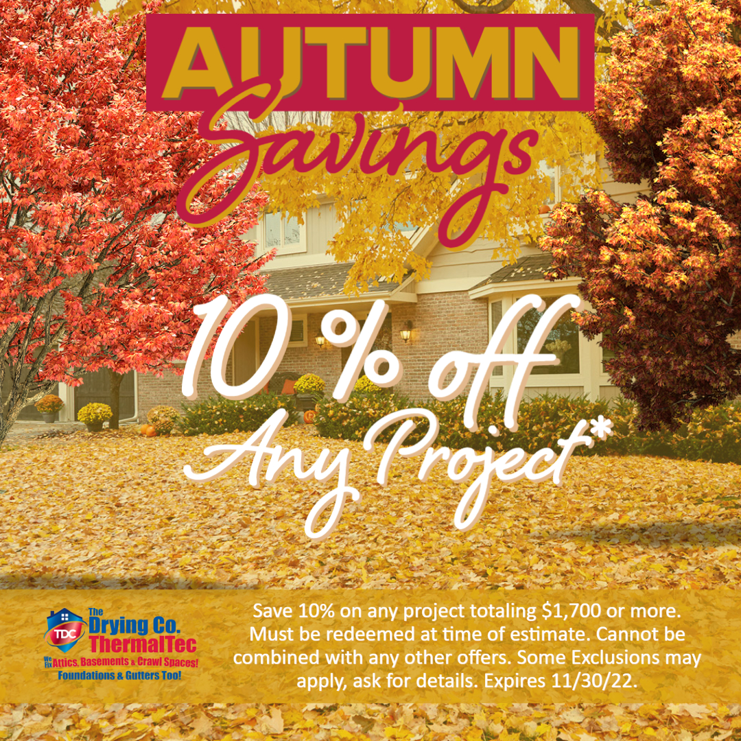 Autumn Savings 10% off